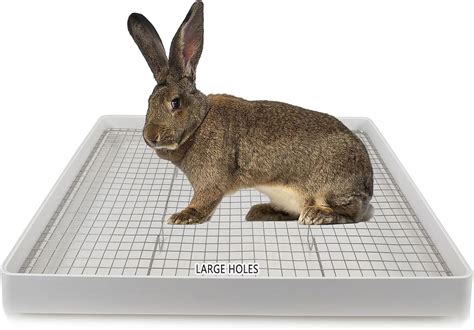 metal grate for litter box|bunny litter tray.